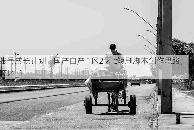 账号成长计划 - 国产自产 1区2区 c短剧脚本创作思路,国产区_1