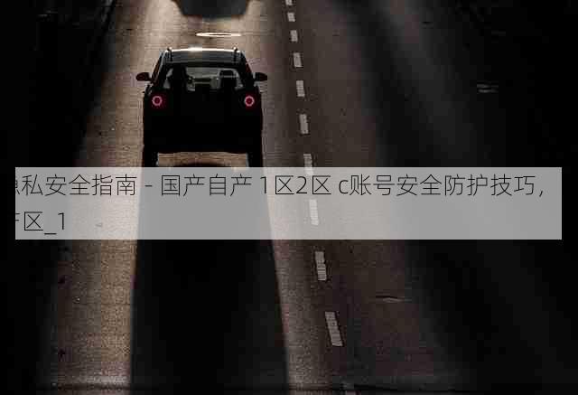 隐私安全指南 - 国产自产 1区2区 c账号安全防护技巧,国产区_1