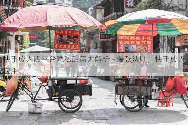 快手成人版平台隐私政策大解析 - 爆款法则,快手成人应用
