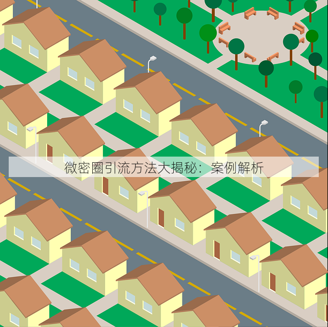 微密圈引流方法大揭秘:案例解析