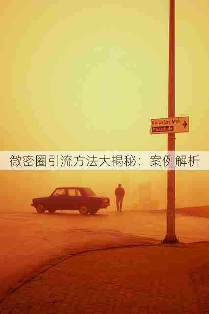 微密圈引流方法大揭秘:案例解析