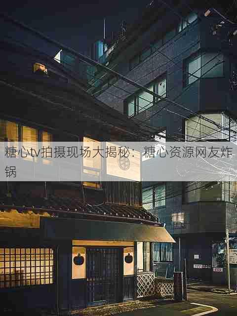 糖心tv拍摄现场大揭秘:糖心资源网友炸锅