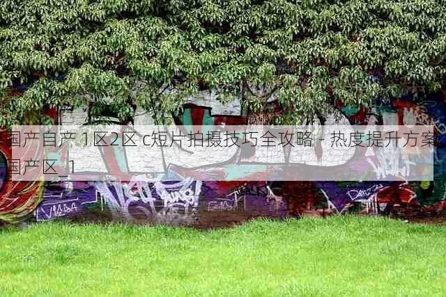 国产自产 1区2区 c短片拍摄技巧全攻略 - 热度提升方案,国产区_1