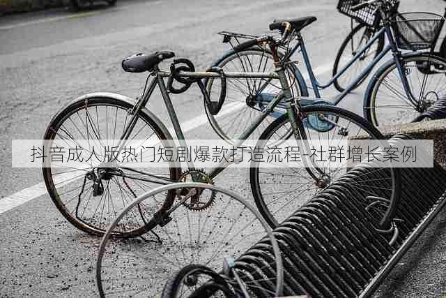 抖音成人版热门短剧爆款打造流程-社群增长案例