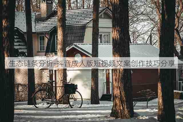 生态链条分析-抖音成人版短视频文案创作技巧分享