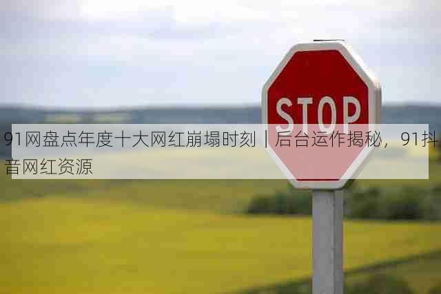 91网盘点年度十大网红崩塌时刻｜后台运作揭秘，91抖音网红资源