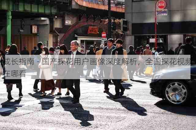 成长指南 - 国产探花用户画像深度解析,全国探花视频在哪看