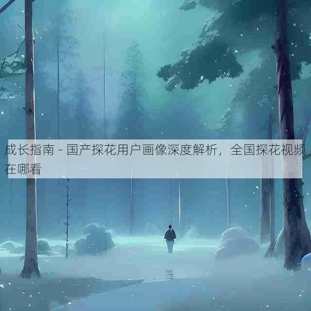 成长指南 - 国产探花用户画像深度解析,全国探花视频在哪看
