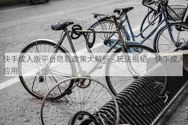 快手成人版平台隐私政策大解析 - 玩法揭秘,快手成人应用