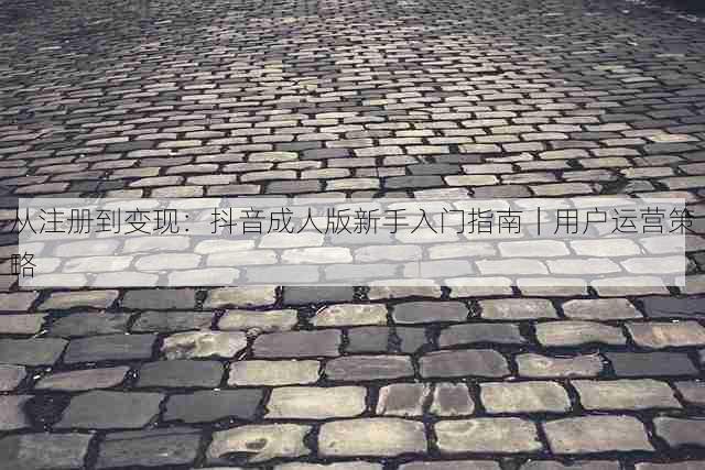 从注册到变现:抖音成人版新手入门指南|用户运营策略