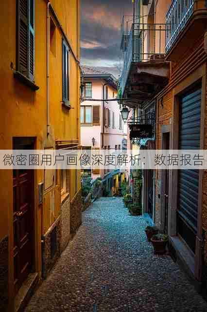 微密圈用户画像深度解析:数据报告