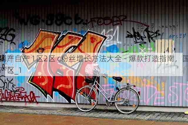 国产自产 1区2区 c粉丝增长方法大全 - 爆款打造指南,国产区_1