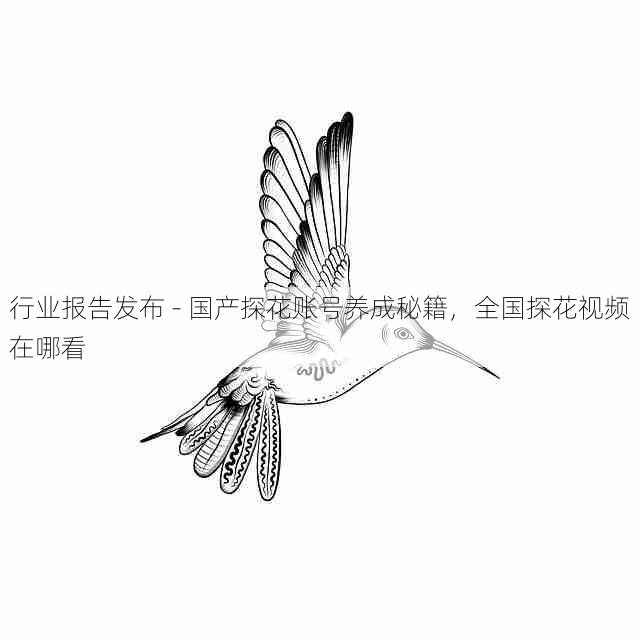 行业报告发布 - 国产探花账号养成秘籍,全国探花视频在哪看