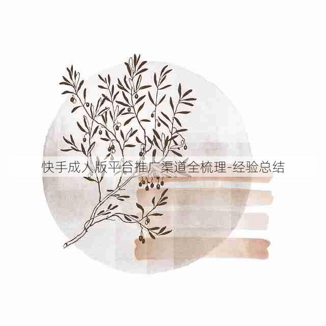 快手成人版平台推广渠道全梳理-经验总结