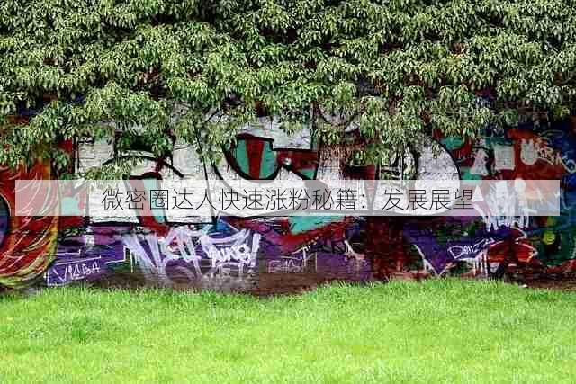 微密圈达人快速涨粉秘籍:发展展望