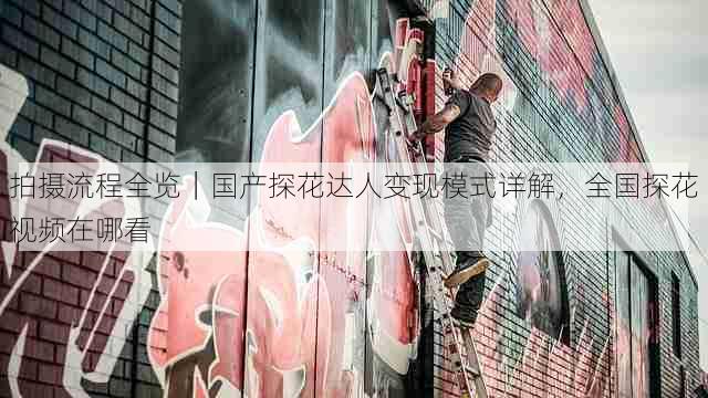 拍摄流程全览｜国产探花达人变现模式详解，全国探花视频在哪看