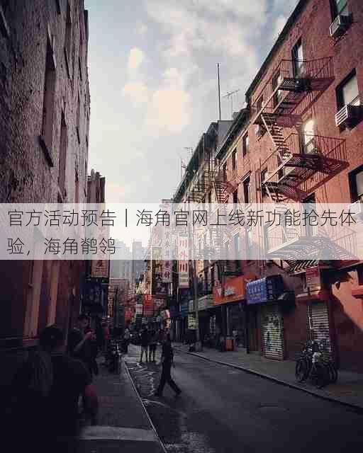 官方活动预告|海角官网上线新功能抢先体验,海角鹡鸰