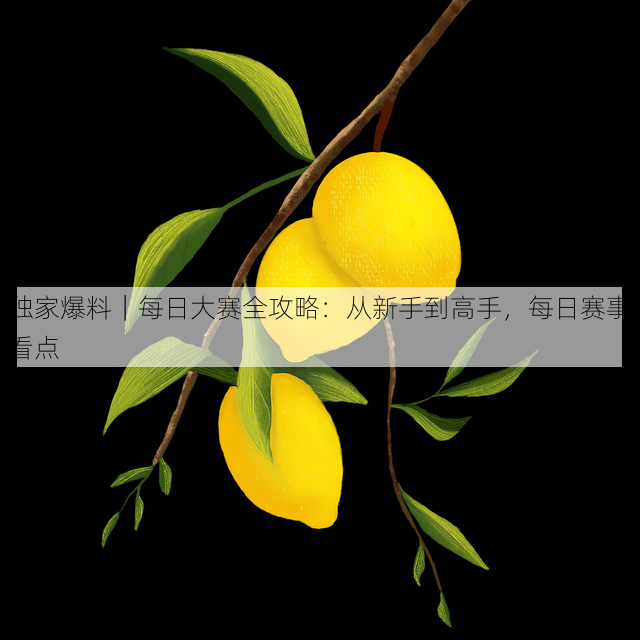 独家爆料|每日大赛全攻略:从新手到高手,每日赛事看点