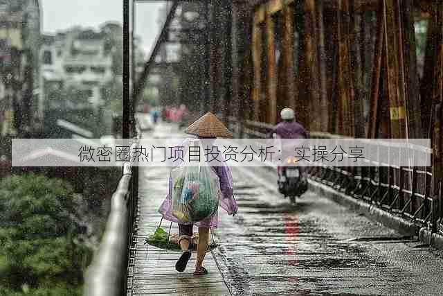 微密圈热门项目投资分析:实操分享