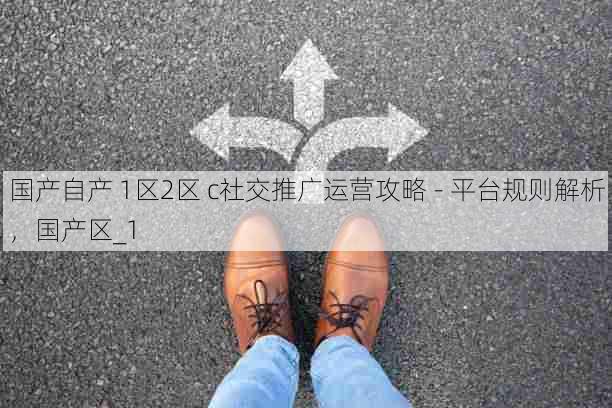 国产自产 1区2区 c社交推广运营攻略 - 平台规则解析,国产区_1