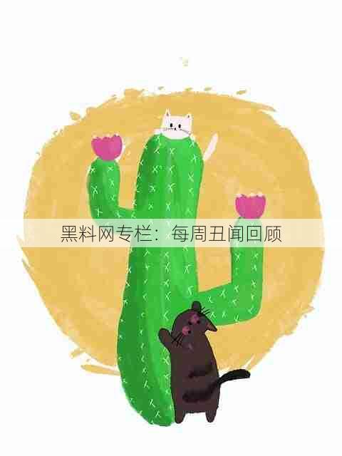 黑料网专栏:每周丑闻回顾