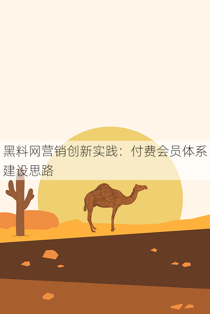 黑料网营销创新实践:付费会员体系建设思路