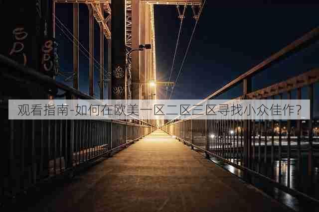 观看指南-如何在欧美一区二区三区寻找小众佳作?