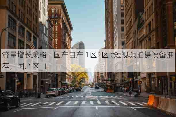 流量增长策略 - 国产自产 1区2区 c短视频拍摄设备推荐,国产区_1