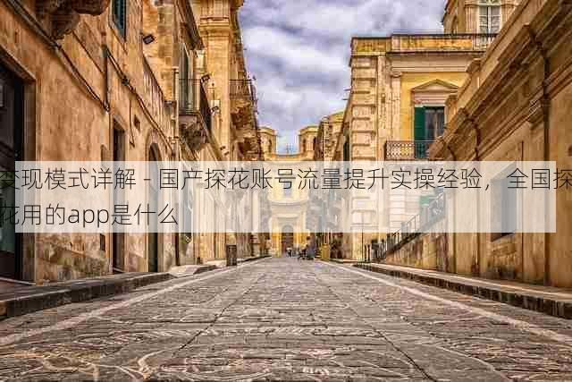 变现模式详解 - 国产探花账号流量提升实操经验,全国探花用的app是什么