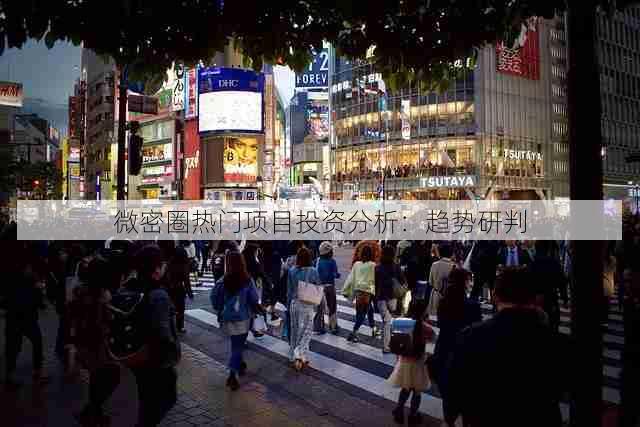 微密圈热门项目投资分析:趋势研判