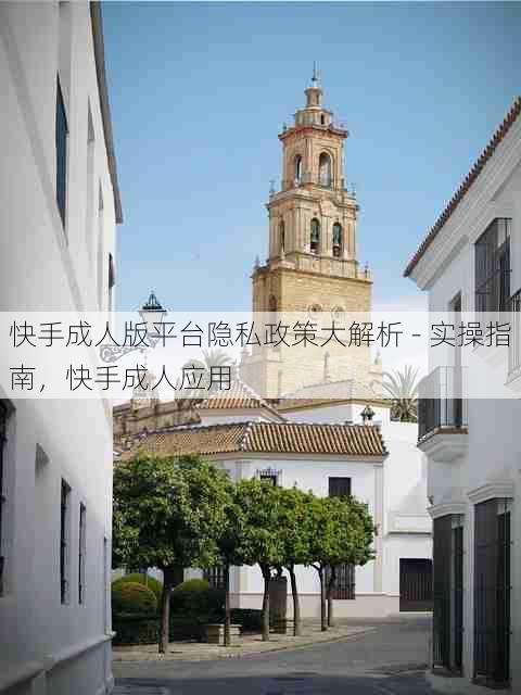 快手成人版平台隐私政策大解析 - 实操指南,快手成人应用