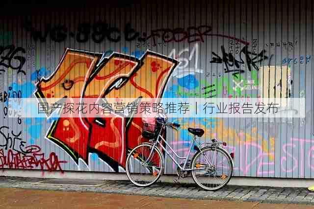 国产探花内容营销策略推荐|行业报告发布