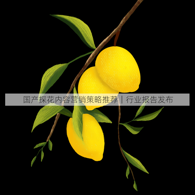 国产探花内容营销策略推荐|行业报告发布