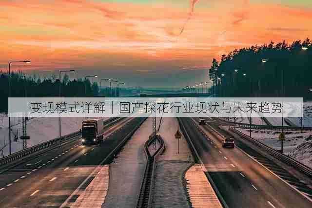变现模式详解|国产探花行业现状与未来趋势