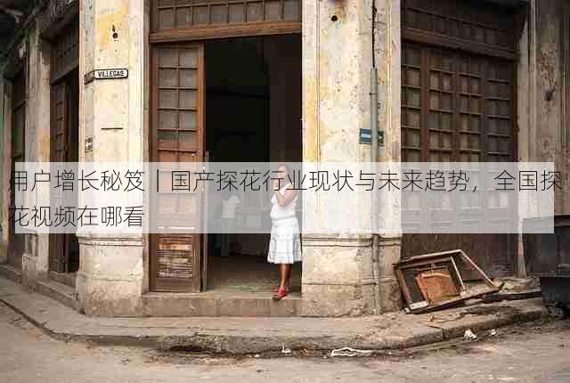 用户增长秘笈|国产探花行业现状与未来趋势,全国探花视频在哪看