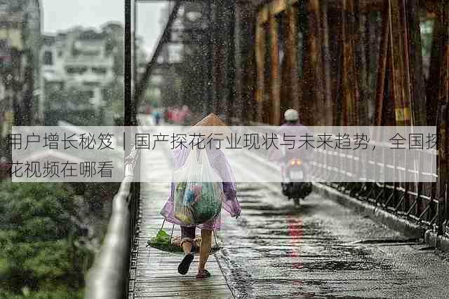 用户增长秘笈|国产探花行业现状与未来趋势,全国探花视频在哪看