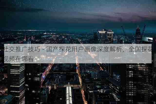 社交推广技巧 - 国产探花用户画像深度解析,全国探花视频在哪看