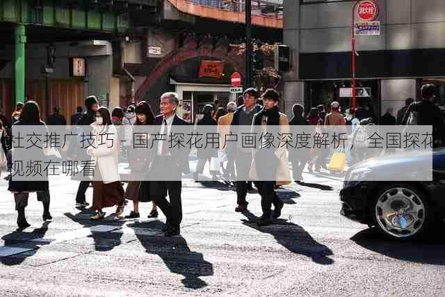 社交推广技巧 - 国产探花用户画像深度解析,全国探花视频在哪看