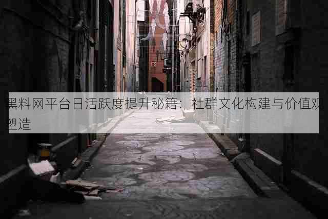 黑料网平台日活跃度提升秘籍:社群文化构建与价值观塑造
