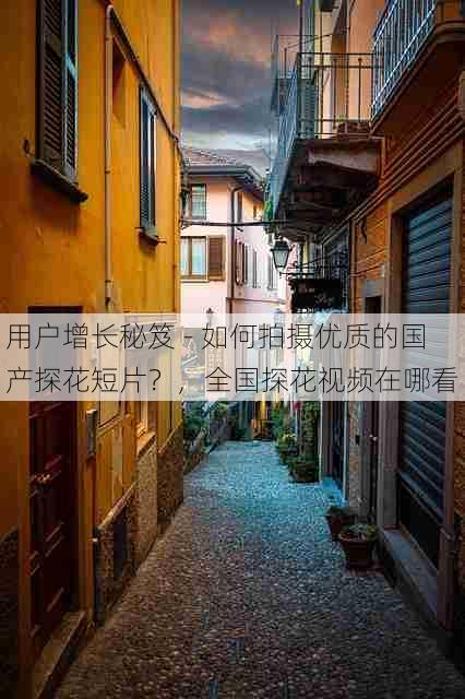 用户增长秘笈 - 如何拍摄优质的国产探花短片?,全国探花视频在哪看